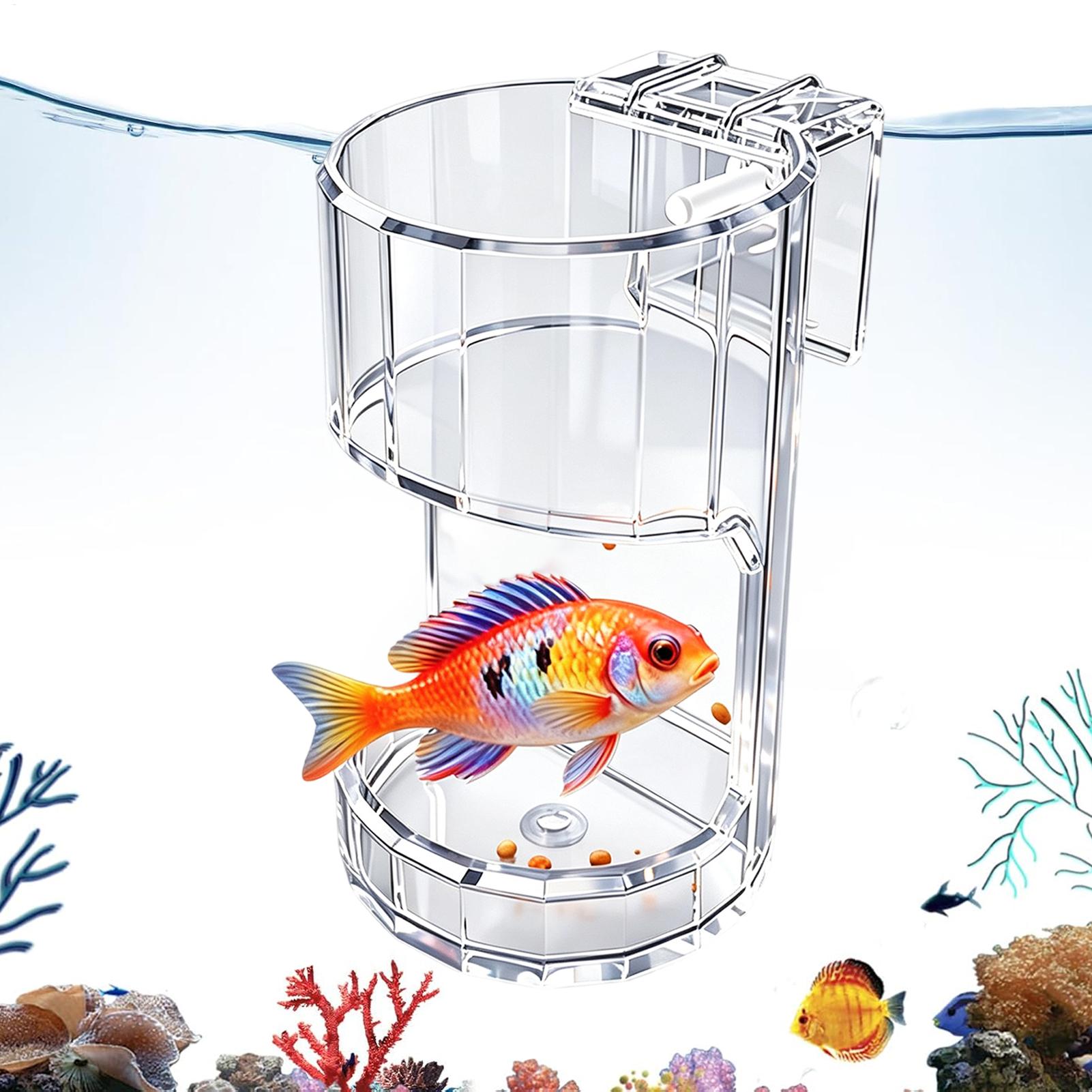 Aquarium Feeding Dish Transpar - Food Storage In Room recension och pris