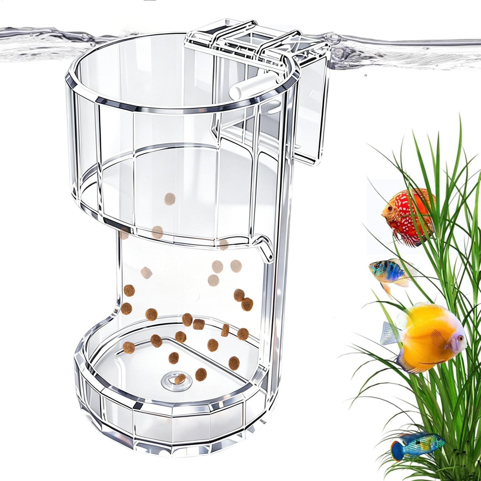 Aquarium Feeding Dish Transpar - Food Storage In Room recension och pris