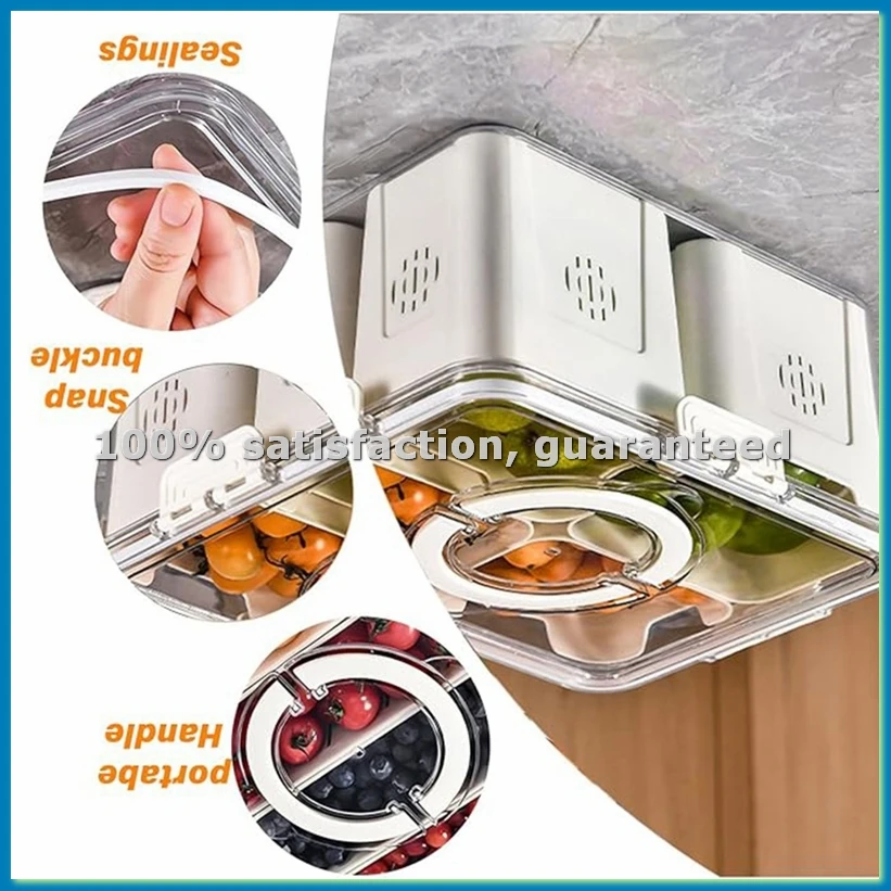 Fruit Tray for Large Picnic Re - Food Storage For Refrigerator recension och pris