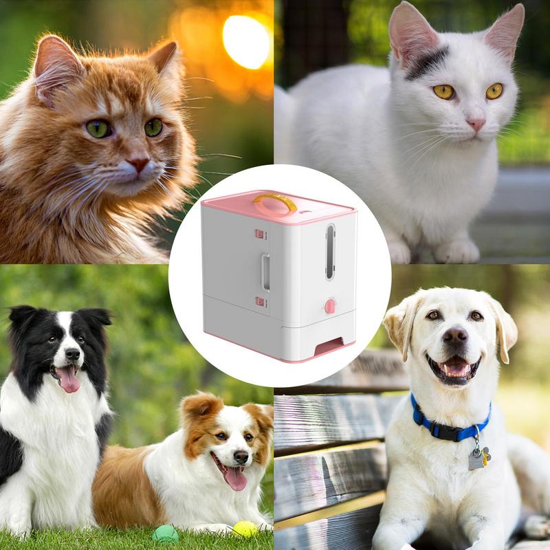 Pet Feeder Box Feeding Bowl Ca - Food Storage Food Safety recension och pris