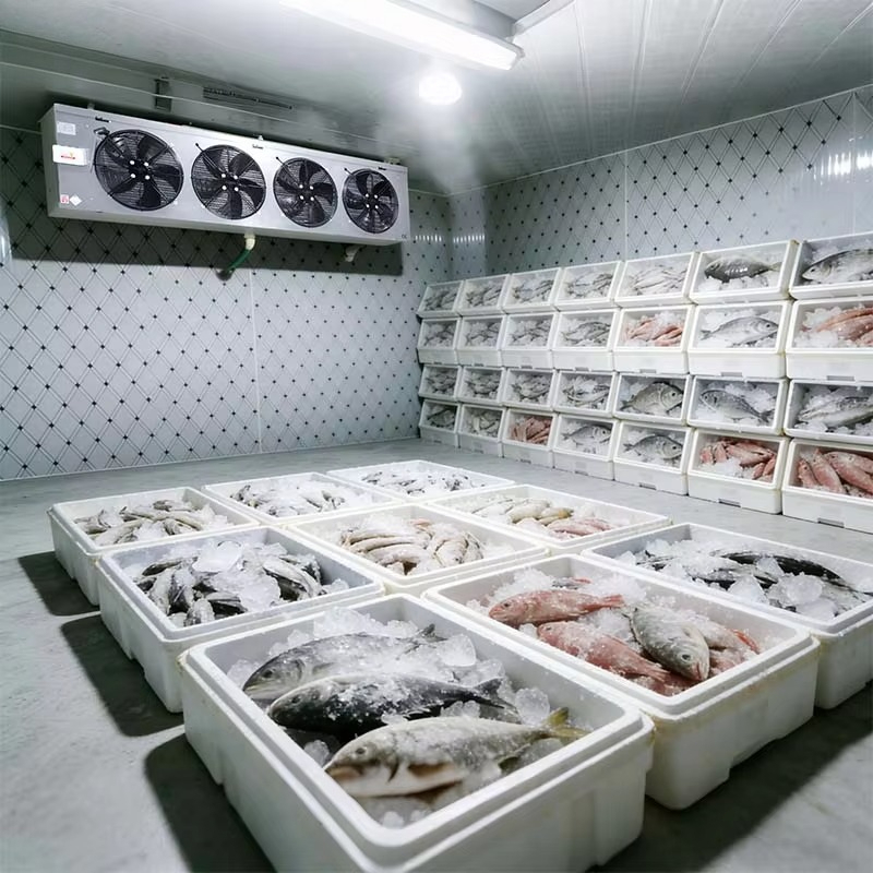 Customized Food Grade Cold Sto - Food Storage Food Safety recension och pris